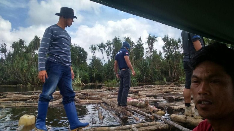 Usut Tuntas Siapa Pemilik Ribuan Kayu Tak Bertuan di Sungai Musi Usut Tuntas Siapa Pemilik Ribuan Kayu Tak Bertuan di Sungai Musi