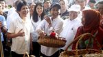 Menteri Rini Panen Raya 4000 Ton Gabah di Karawang