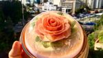 Begini 10 Karya Jelly Bunga 3 Dimensi yang Mirip Sungguhan Buatan Ibu Asal Sydney!
