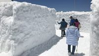 Menyusuri labirin di area Snow Wall Walk (CNN Travel)