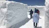 Foto: Rute Alpine Tateyama Kurobe membentang di prefektur Toyama dan Nagano di sebelah utara Tokyo. Hal lain yang menarik di sepanjang Snow Wall Walk adalah Panorama Road yang menawarkan pemandangan puncak Gunung Tateyama, gubuk salju, labirin salju, dan seluncur salju (CNN Travel)