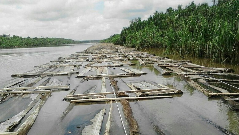 Ribuan Kayu di Sungai Musi Dibiarkan Tak Bertuan, Ini Penampakannya Ribuan Kayu di Sungai Musi Dibiarkan Tak Bertuan, Ini Penampakannya