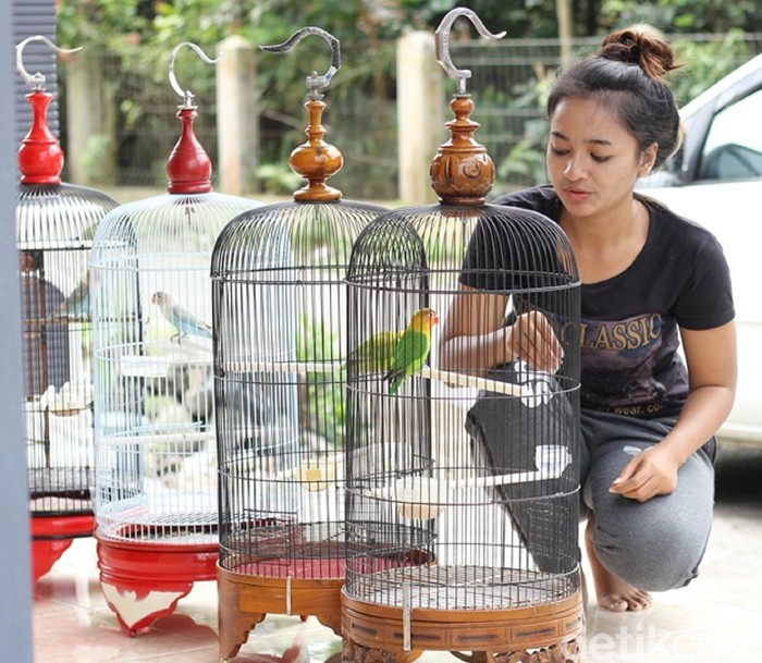 Beginilah Cara Masyarakat Desa di Gianyar Tetap Rukun