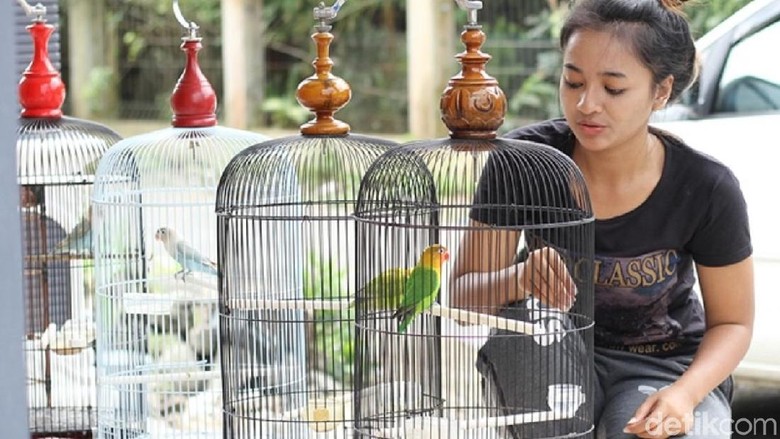 Foto: Pertiwi/detikcom Foto: Pertiwi/detikcom