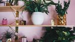 Ini Kafe Millennial yang Serba Pink dengan Makanan Matcha Kekinian