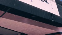 Terletak di pusat kota San Diego, Amerika. Pink Holy Matcha merupakan kafe dengan desain yang menarik, dan sangat Instagrammable. Foto: Istimewa