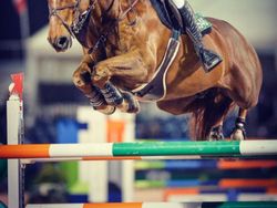 Ayahnya Berduit Triliunan, Begini Tingkah Anak Gadisnya