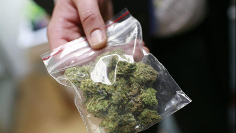 Partai Hijau Australia Ingin Ganja Dilegalkan Partai Hijau Australia Ingin Ganja Dilegalkan