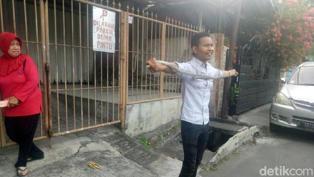 Ular Piton 1 Meter Bikin Panik Warga Tambaksari Surabaya