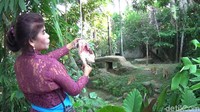 Saya merasa tidak pernah duka selalu happy. Gimana saya mencintai anak saya begitu juga mencintai binatang di sini, kata Ida Ayu Putu Diyatmini (Nandhang Astika/detikTravel)