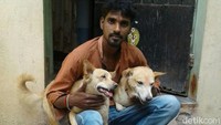 Dua ekor anjing di kota Chennai (Madras), India, menjadi pahlawan setelah membantu menangkap pelaku penusukan. Kedua ekor anjing itu mengejar dan kemudian menggigit orang yang dituduh menusuk mantan rekan kerjanya di pinggir jalan yang menurut polisi merupakan serangan balas dendam. (Foto: BBC Magazine/BBC HIndi)