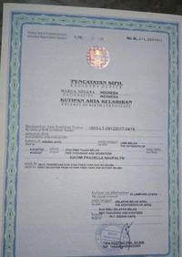 Pria Indonesia Ini Namai Putrinya Xiaomi