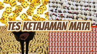 Pada setiap gambar, ada satu gambar kecil yang berbeda dari yang lain dan kamu harus menemukannya. Kalau sudah siap, yuk tes ketajaman matamu. Foto: Internet