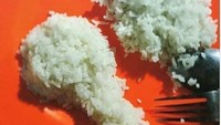 Makan nasi pake ayam? Ya begini wujudnya. Tapi sayang ayam yang dimaksud, nasi dibentuk seperti ayam. Menu halusinasi dong ya! Foto: Istimewa