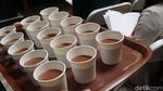 Ini Keseruan Peserta Chocolate Xperience Saat Belajar dan Cicip Cokelat