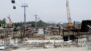 Melihat Wujud Ubur Ubur Yang Muncul Di Pantai Ancol