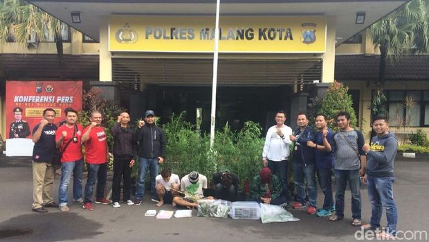 Polres Malang Kota bongkar penanam ganja/