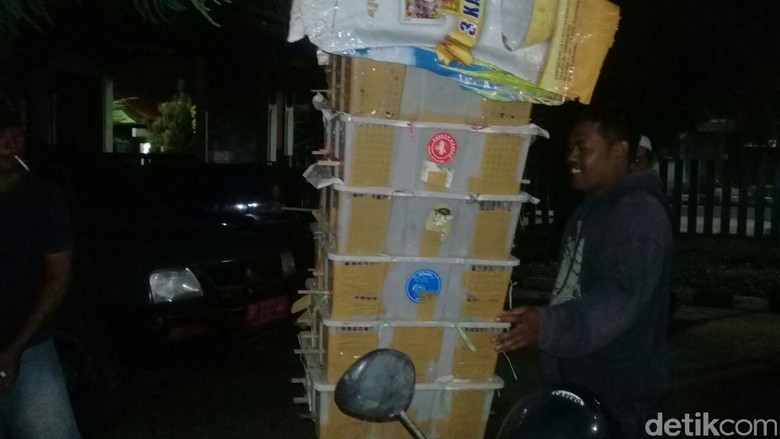 BKSDA Jambi Gagalkan Perdagangan Ilegal Ratusan Burung Kicau BKSDA Jambi Gagalkan Perdagangan Ilegal Ratusan Burung Kicau