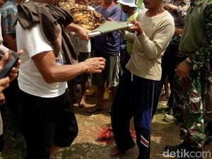 Nenek Pencari Rumput di Bojonegoro Tewas Tersambar Petir