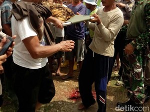 Nenek Pencari Rumput di Bojonegoro Tewas Tersambar Petir
