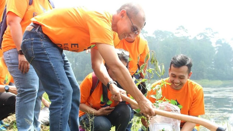 Foto: Aksi tanam kayu putih di Situ Cisanti (dok Accor Hotels) Foto: Aksi tanam kayu putih di Situ Cisanti (dok Accor Hotels)