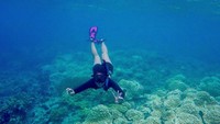 Dara berumur 25 tahun ini juga menceritakan telah berkunjung ke tempat-tempat yang punya pantai dan spot snorkling yang cantik. Ini dirinya saat free diving di Raja Ampat. (melindalfred/Instagram)