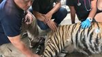Bonita Kini, Operasi Tumor Sampai Diajak Main