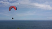 Melayang di langit sekitar Pantai Buyutan (Purwo S/detikTravel)