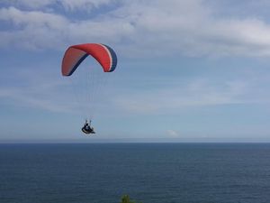 Serunya Menikmati Panorama Pantai Buyutan dengan Paralayang