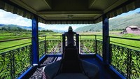 Salah satu bagian teras kereta bisa digunakan sambil melihat pemandangan alam yang dilewati. Istimewa/Inhabitat.
