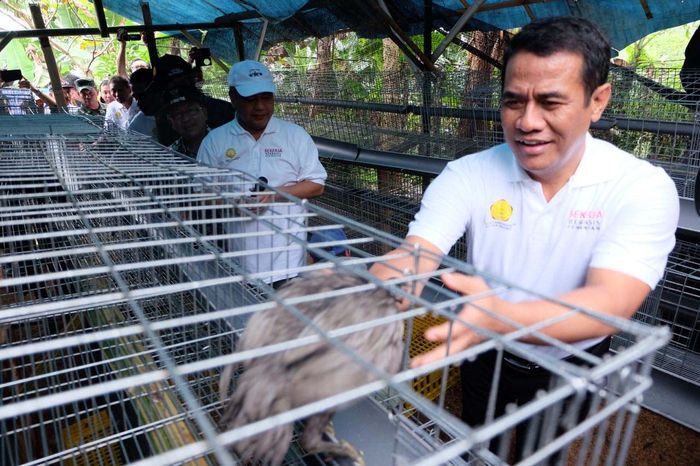 Foto: Dok Kementerian Pertanian Foto: Dok Kementerian Pertanian