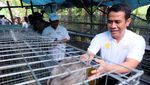 Aksi Mentan Bagi-bagi 50 Ekor Ayam ke 40 KK di Cianjur