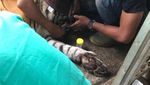 Bonita Kini, Operasi Tumor Sampai Diajak Main
