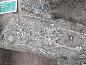 Kerangka Manusia dari Era 45 SM Ditemukan di Subang