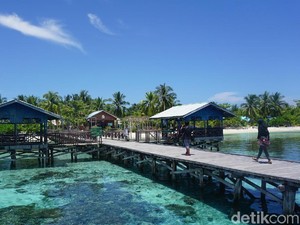 Raja Ampat Larang Kapal Besar Bersandar di Arborek, Kenapa?