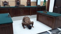 Kentut Sujud Syukur Usai Ganti Nama.  Ihsan Hadi (30) yang semula bernama kentut begitu gembira dengan pergantian namanya. Usai mendengarkan putusan hakim, Ihsan pun sujud syukur. Senyum lega terpancar dari wajahnya setelah hakim menyatakan permohonannya dikabulkan di PN Tangerang, Jalan TMP Taruna, Tangerang, Senin (23/4/2018). Ihsan lalu beranjak dari tempat duduknya dan melakukan sujud syukur. Foto: Ahmad Bil Wahid/ detikcom