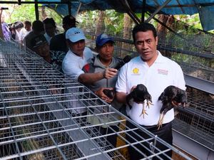 Aksi Mentan Bagi-bagi 50 Ekor Ayam ke 40 KK di Cianjur
