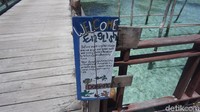 Beberapa spot juga ramah turis, baik lokal maupun internasional (Shinta/detikTravel)