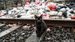 Foto: Sampah Menumpuk di Pinggir Rel Kereta Api