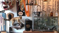 Mulai dari serangga sampai ke hewan peliharaan yang telah mati bisa ditemukan di sini. Juga ada koleksi tulang belulang manusia, tengkorak hewan, benda-benda untuk taxidermi (pengawetan) (Woolly Mammoth Chicago)