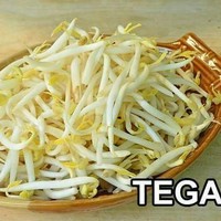 Gambarnya taoge tapi dipelesetin jadi tega Foto: Istimewa