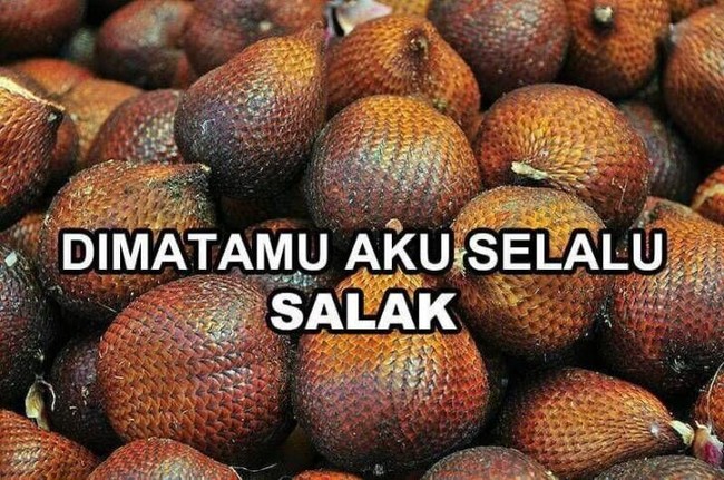 Salah apa ya salak sampai jadi korban meme seperti ini Foto: Istimewa