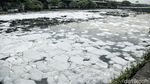 Aduh! Sungai Ancol Penuh Busa