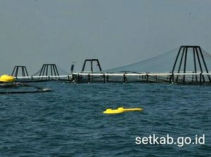Arah Haluan Pembangunan Kelautan