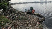 Pasukan Oranye membersihkan Waduk Pulit, Jakarta Utara.