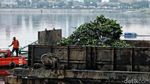 Foto: Waduk Pluit Dibersihkan