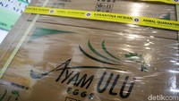 Ekspor telur tetas ayam yang diberi nama ULU 101 merupakan salah satu hasil teknologi persilangan antara ayam pelung jantan dengan ayam ras betina indukan, menjadi final stock ayam komersial.