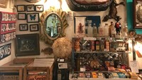 Toko suvenir ini sangat unik, karena mengkhususkan diri mengoleksi barang-barang aneh dan unik dari masa lampau dan mahluk yang telah mati. (Woolly Mammoth Chicago)