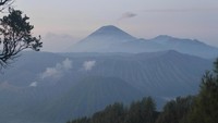 Saat mentari telah terbit, pemandangan Bromo pun semakin terlihat jelas (Kurnia/detikTravel)