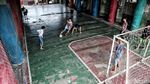 Keceriaan Anak-anak Main Futsal di Kolong Tol Priok